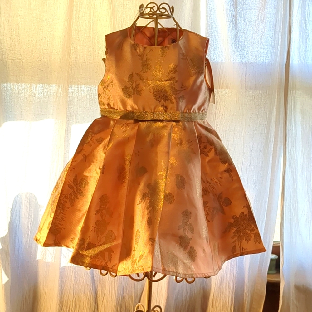 Dusky pink taffeta dress with faux fur bolero . Size 9 mo.